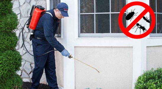 Palandöken Tahtakurusu İlaçlama böcek ilaçlama ve haşere kontrolü — ilaclama-tr.com